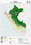 Peru, begroeiing en beschermde gebieden 
