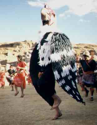 Een dansende condor