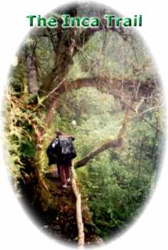 The Inca Trail in Llulluchapama