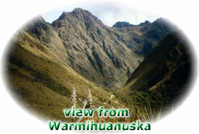 Vista del Warmihuanuska